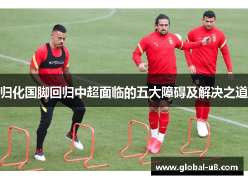 归化国脚回归中超面临的五大障碍及解决之道
