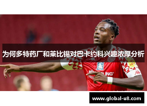 为何多特药厂和莱比锡对巴卡约科兴趣浓厚分析