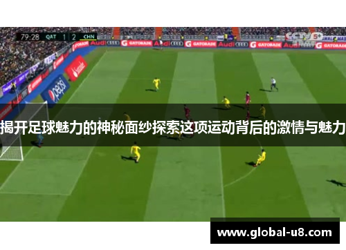 揭开足球魅力的神秘面纱探索这项运动背后的激情与魅力